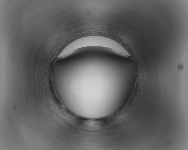 X0000111620221200907311210