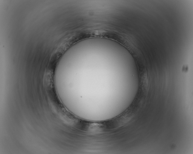 X0000111620222200907311210