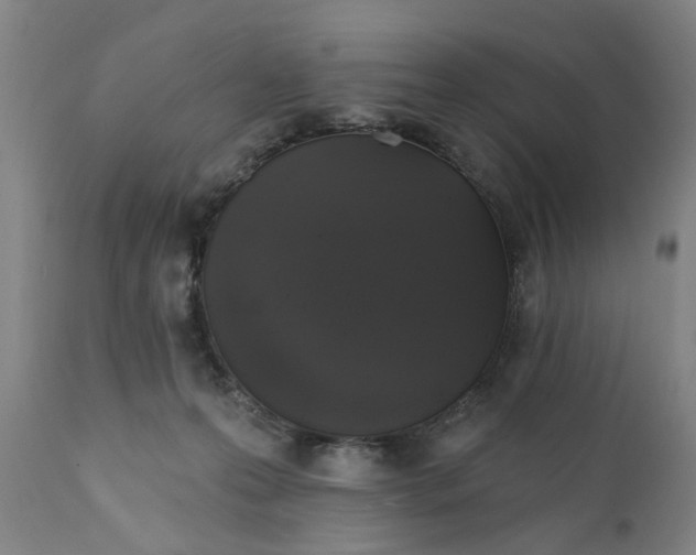 X0000111620223200907311210