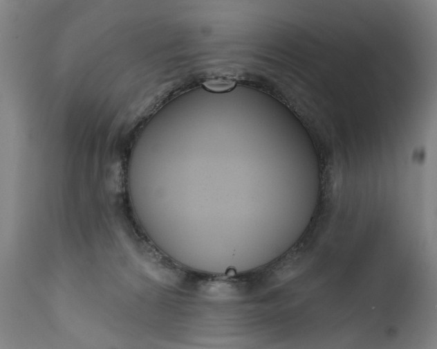 X0000111620224200907311210