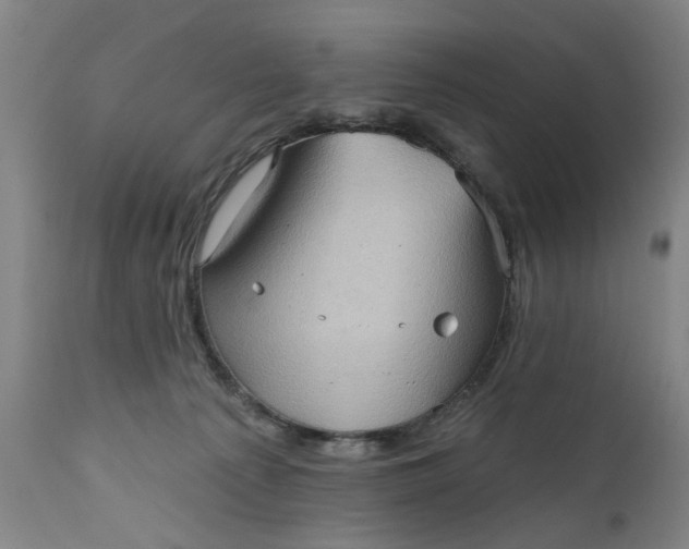 X0000111620225200907311210