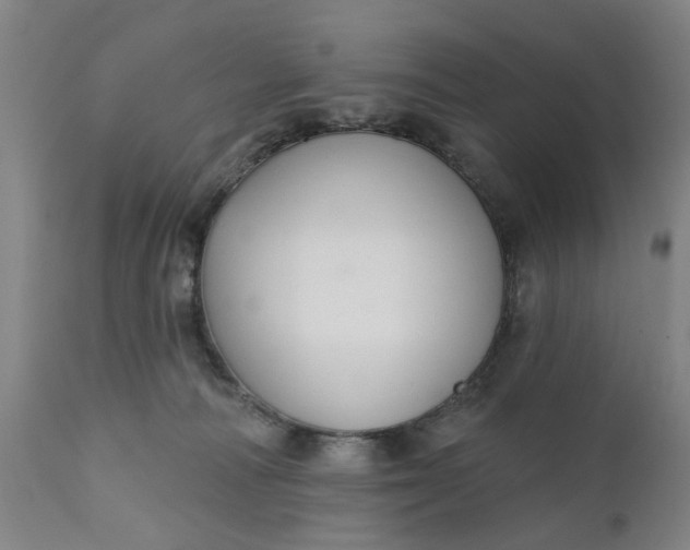 X0000111620226200907311210