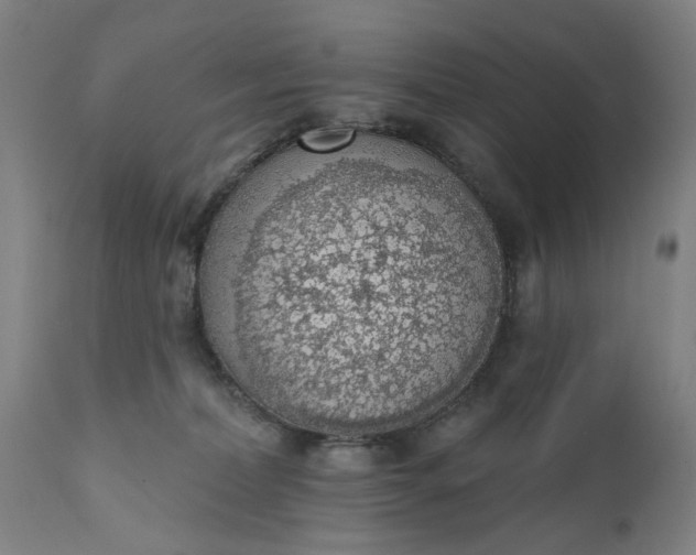 X0000111620228200907311210