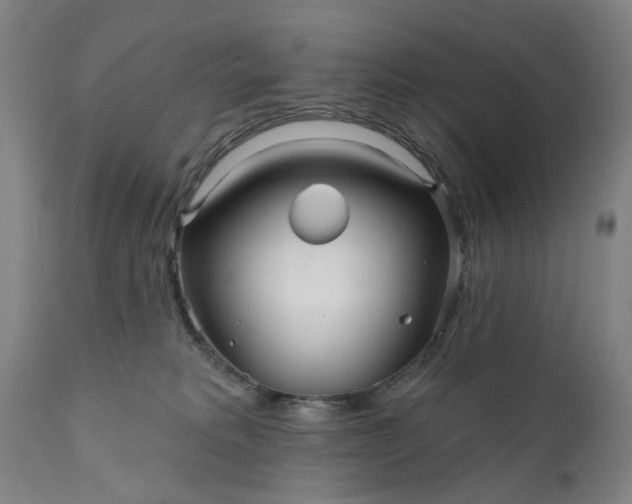 X0000111620229200907311210