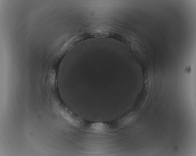 X0000111620231200907311210