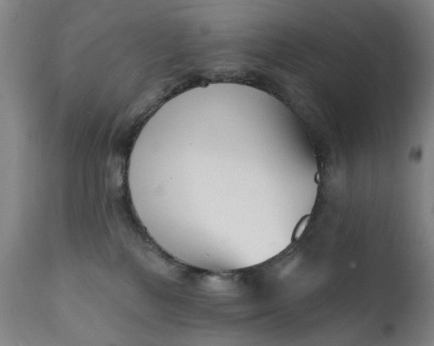 X0000111620232200907311210