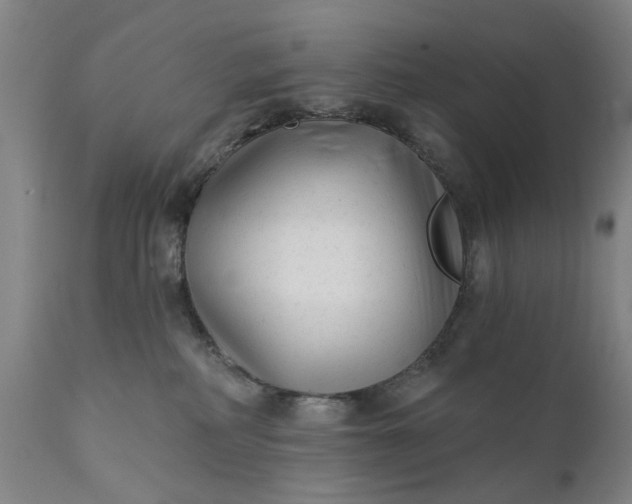 X0000111620234200907311210