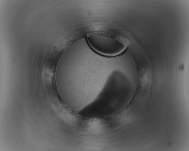 X0000111620235200907311210