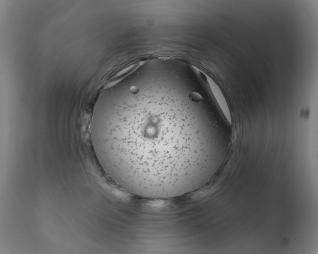 X0000111620237200907311210