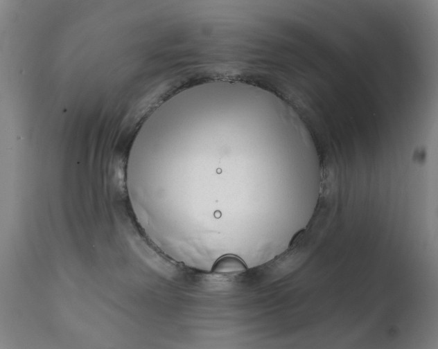 X0000111620238200907311210