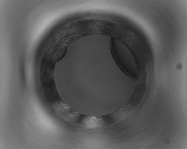 X0000111620239200907311210