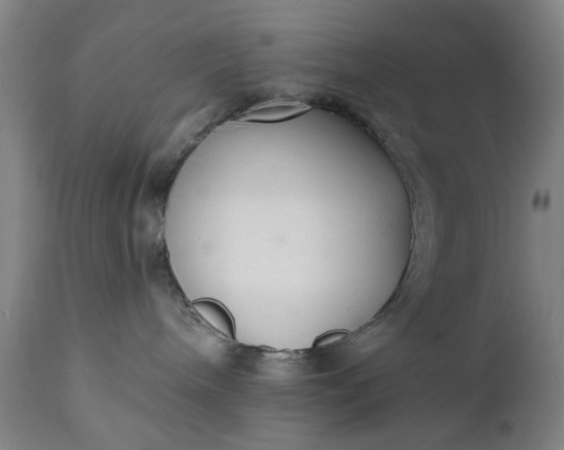 X0000111620240200907311210