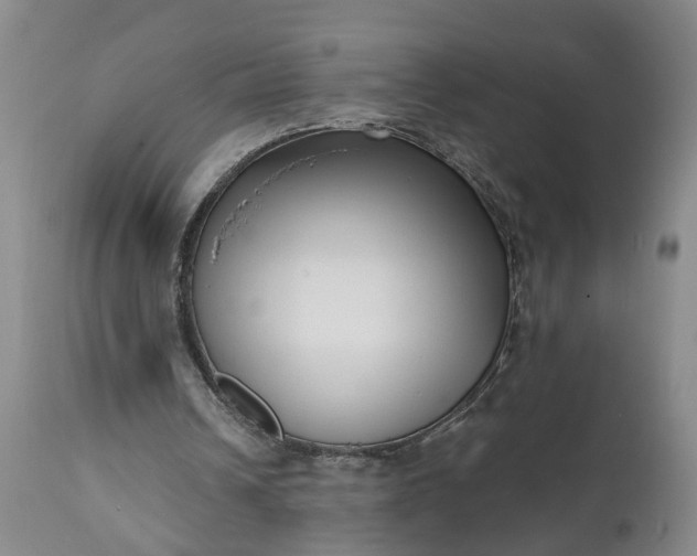 X0000111620242200907311209