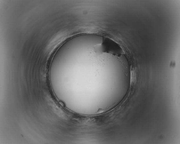 X0000111620243200907311209