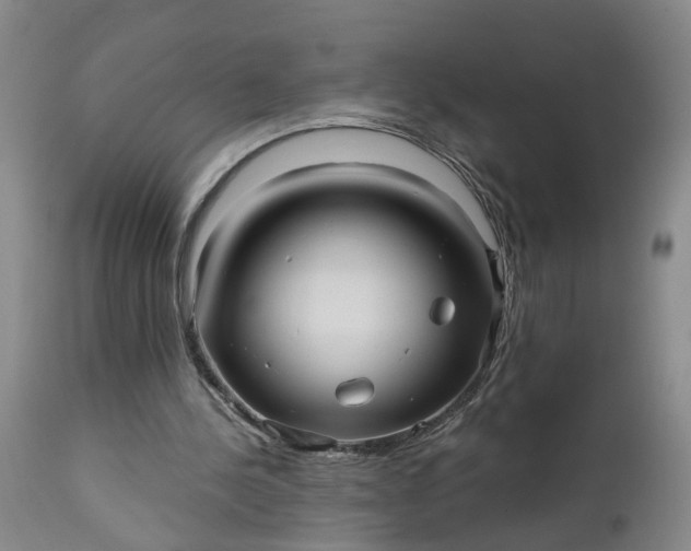 X0000111620244200907311210