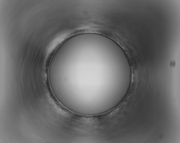 X0000111620245200907311210