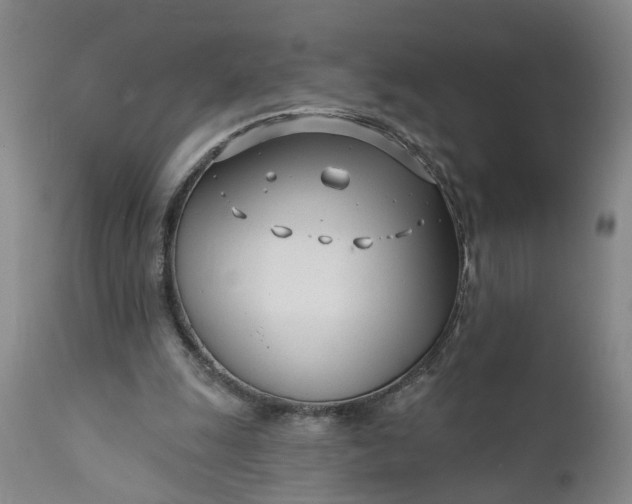 X0000111620247200907311210