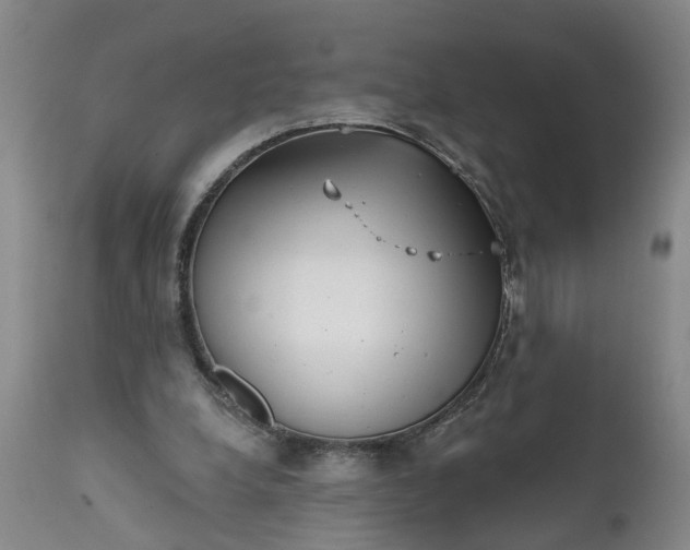 X0000111620248200907311210