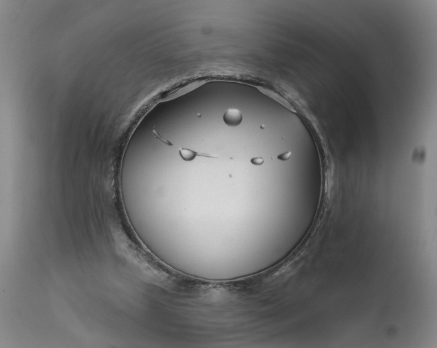 X0000111620249200907311210