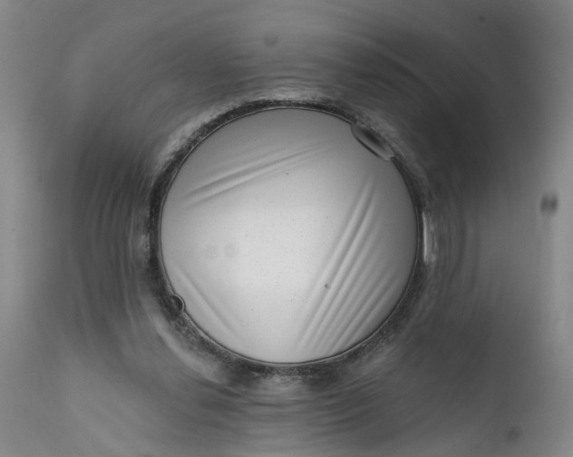 X0000111620252200907311210