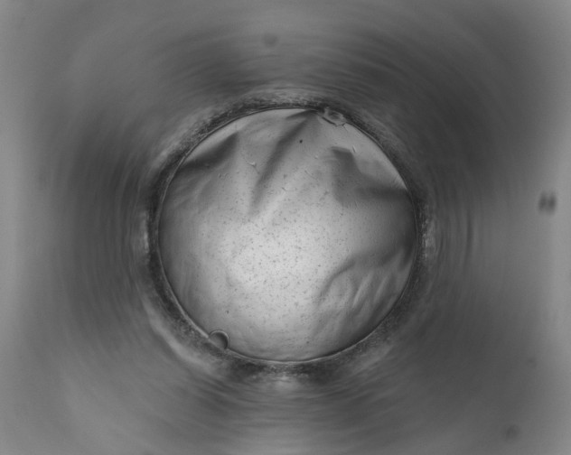 X0000111620254200907311210