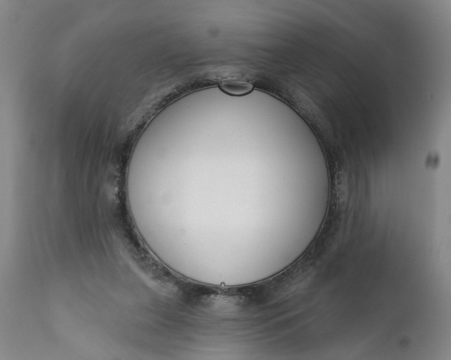 X0000111620255200907311210