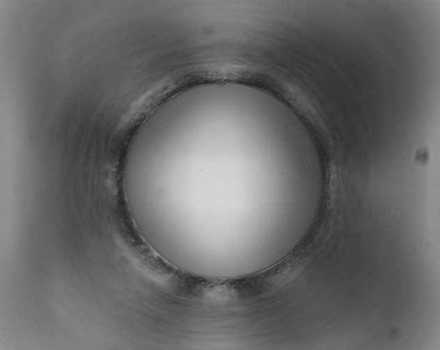 X0000111620258200907311210