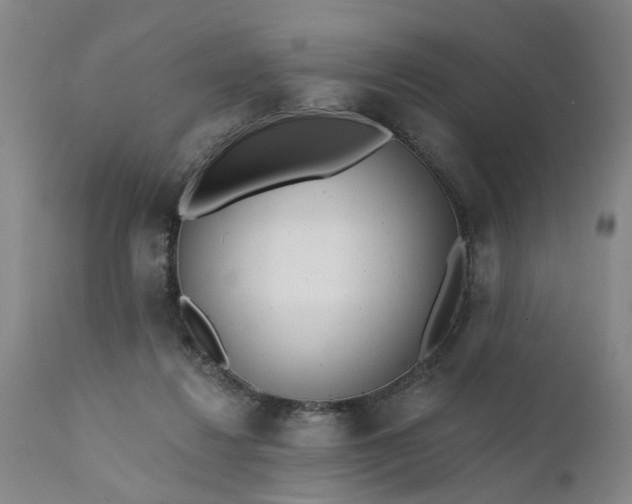 X0000111620260200907311210