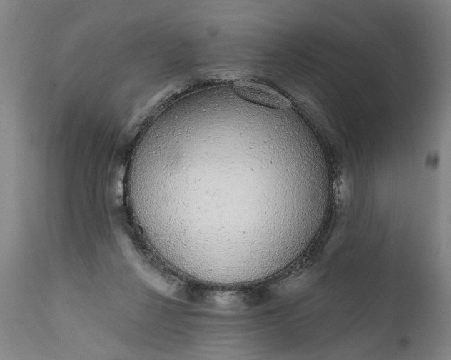 X0000111620264200907311210