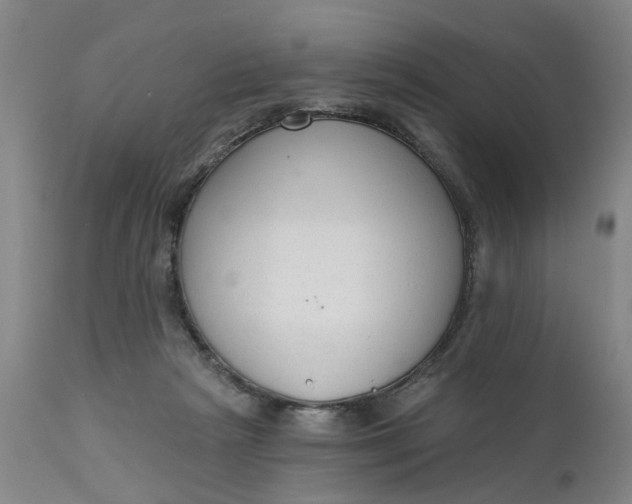 X0000111620265200907311210