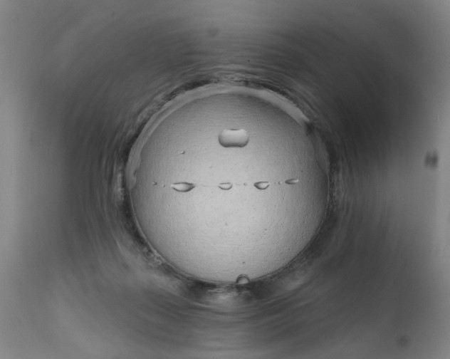 X0000111620267200907311210