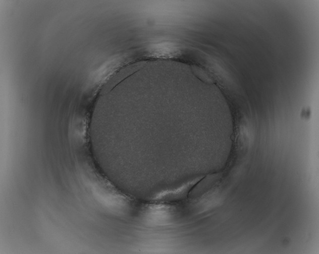 X0000111620268200907311210