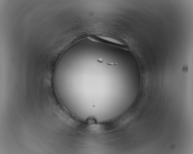 X0000111620269200907311210