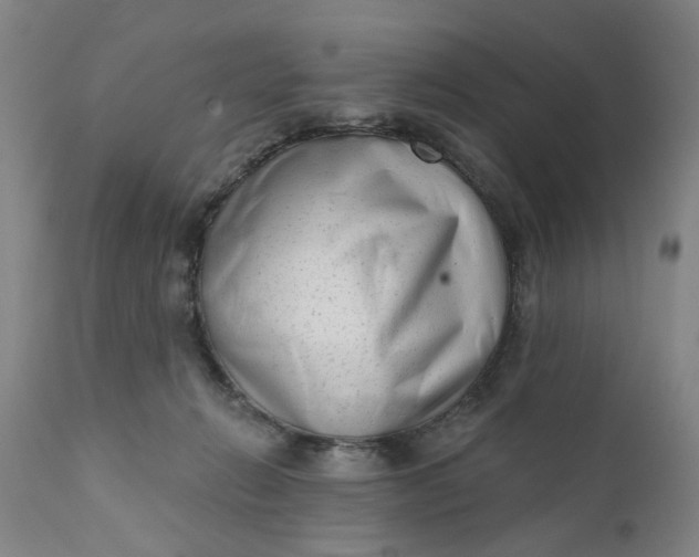 X0000111620270200907311210