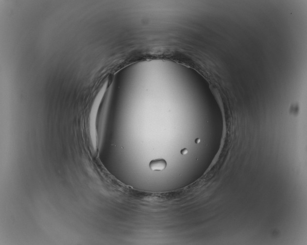 X0000111620272200907311210