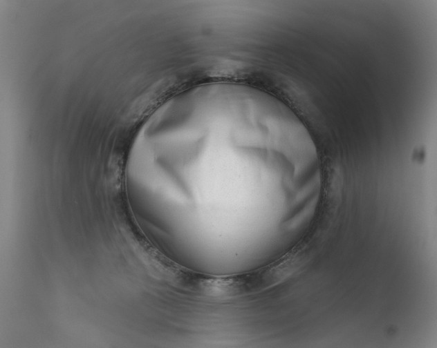 X0000111620273200907311210