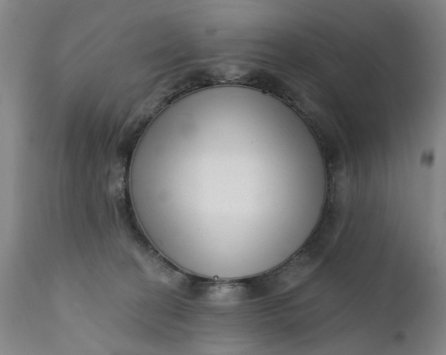 X0000111620274200907311210