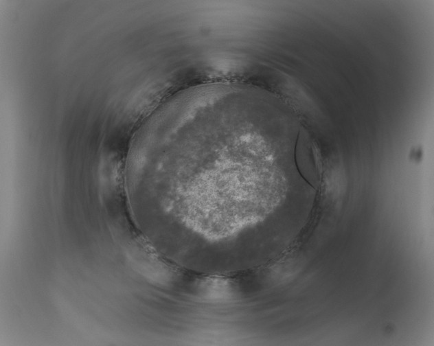 X0000111620276200907311210