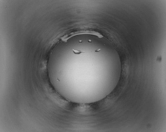 X0000111620278200907311210