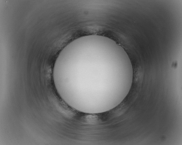 X0000111620279200907311210