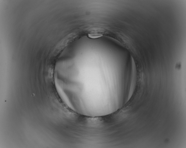 X0000111620281200907311210