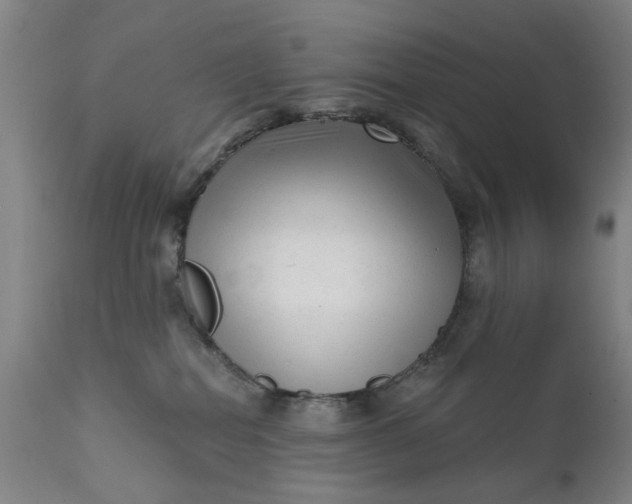 X0000111620282200907311210