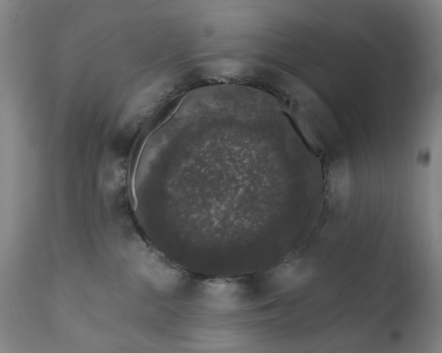 X0000111620284200907311210