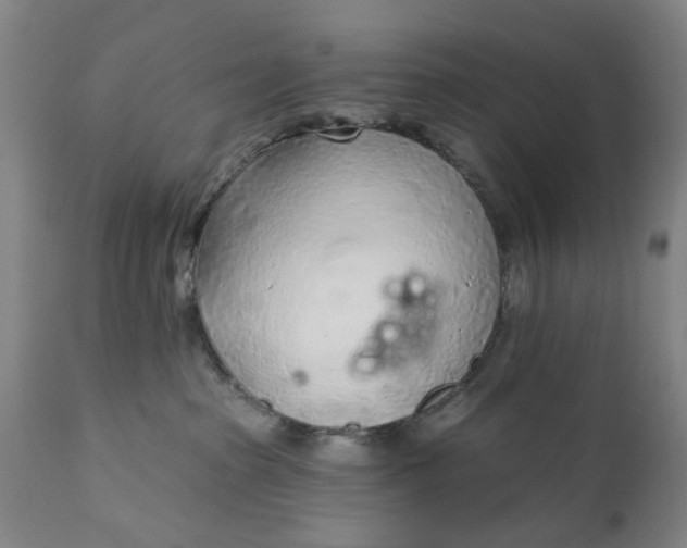 X0000111620285200907311210