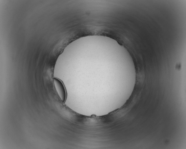 X0000111620286200907311210