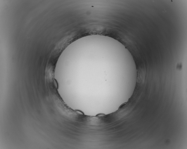 X0000111620287200907311210