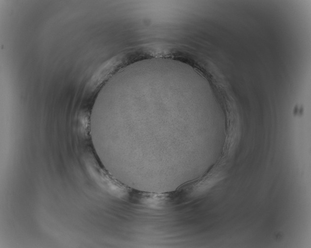 X0000111620288200907311210