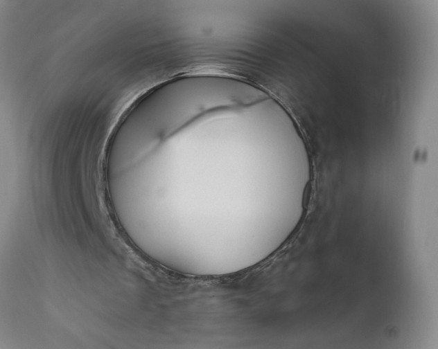 X0000111620289200907311209