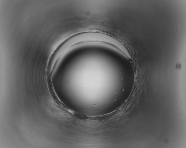 X0000111620292200907311209