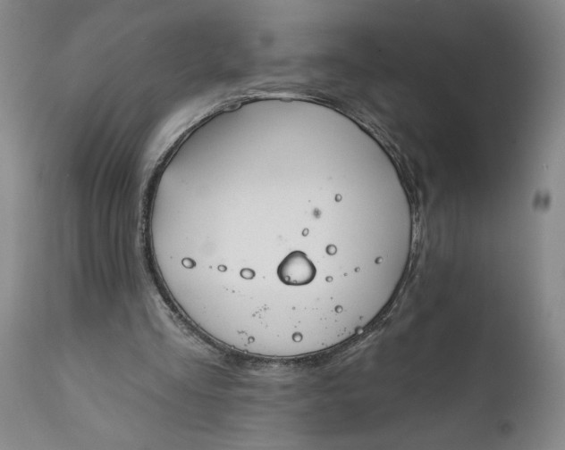 X0000111620293200907311209